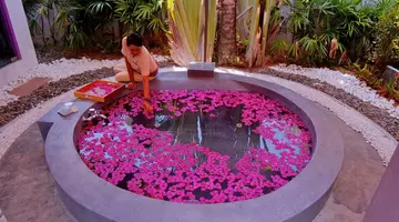 Twin Lotus Resort and Spa