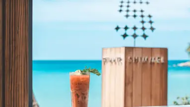 TWINPALMS MONTAZURE