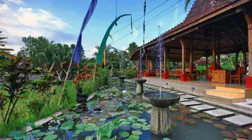 Ubud Heaven Penestanan