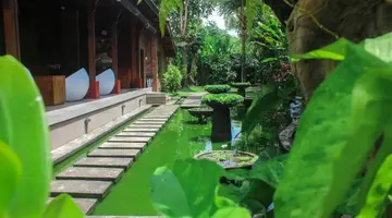 Ubud Heaven Penestanan