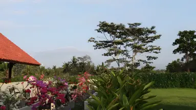 Ubud Wana Resort