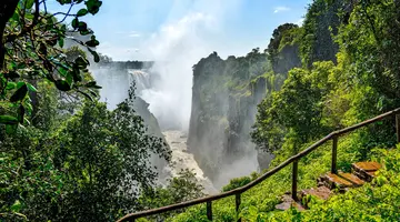 Uganda - Tropem Goryli