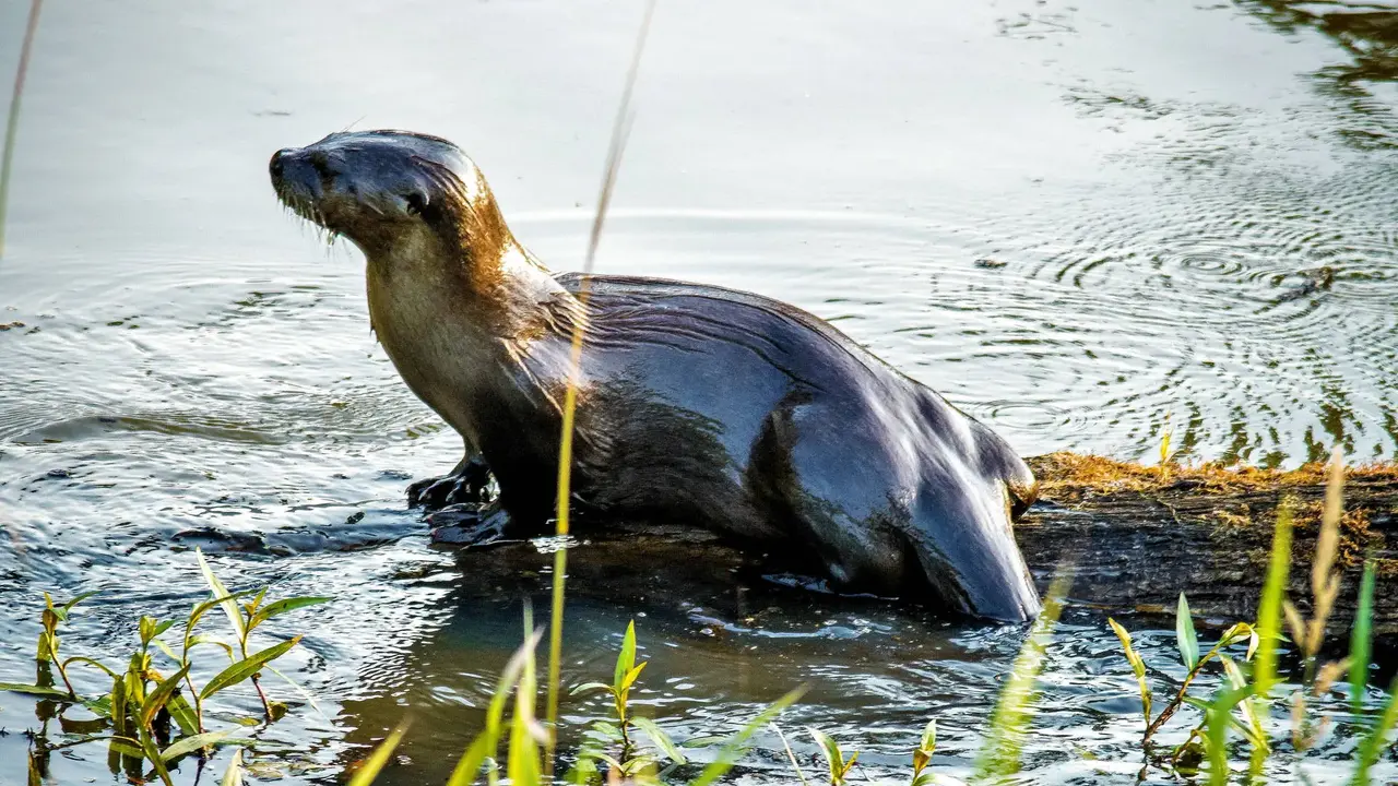 Ukryte oblicza Ameryki Południowej