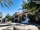 UNICO CANNAMELE ESCAPE TROPEA