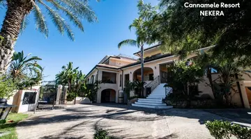 UNICO CANNAMELE ESCAPE TROPEA