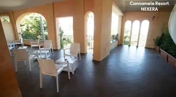 UNICO CANNAMELE ESCAPE TROPEA