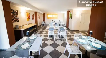UNICO CANNAMELE ESCAPE TROPEA