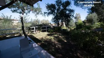 UNICO CANNAMELE ESCAPE TROPEA