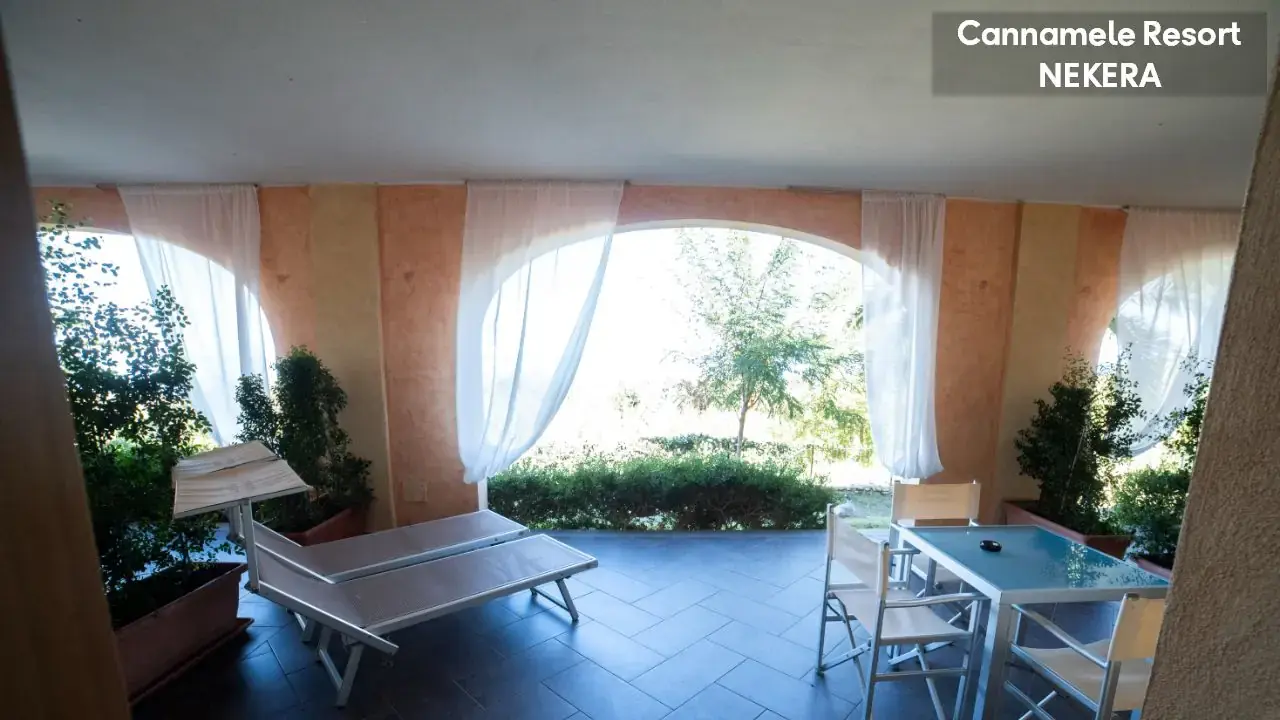 UNICO CANNAMELE ESCAPE TROPEA
