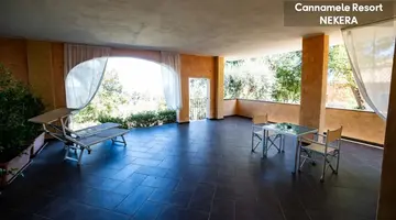 UNICO CANNAMELE ESCAPE TROPEA