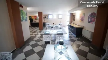 UNICO CANNAMELE ESCAPE TROPEA