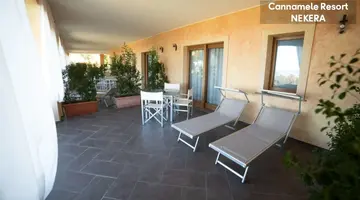 UNICO CANNAMELE ESCAPE TROPEA
