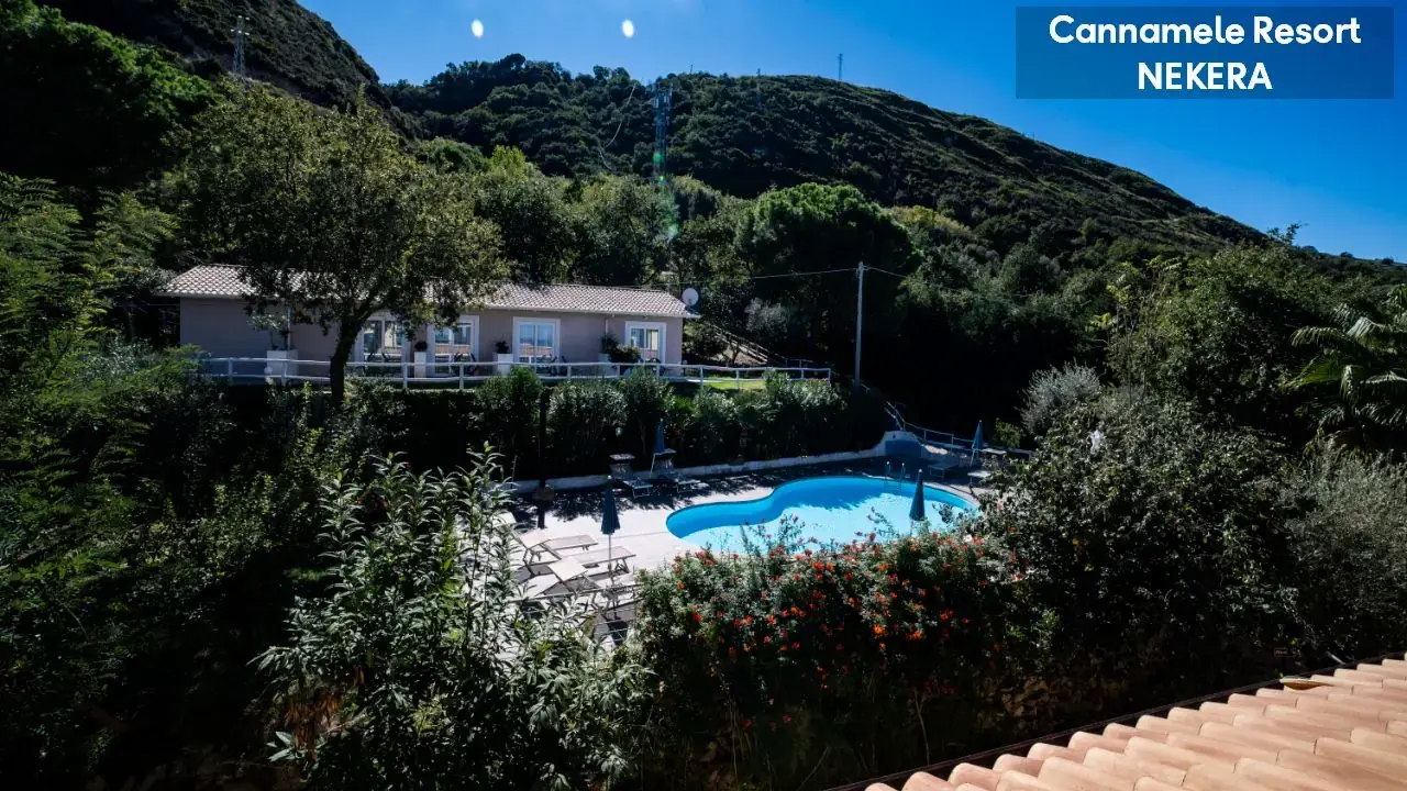 UNICO CANNAMELE ESCAPE TROPEA