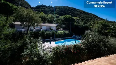 UNICO CANNAMELE ESCAPE TROPEA