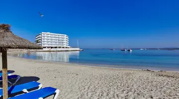 Universal Hotel Marqués