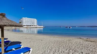 Universal Hotel Marqués