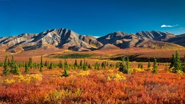USA - Alaska - Kanada dla koneserów