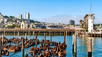 USA - California Dreams