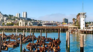 USA - California Dreams