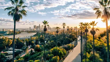 USA - California Dreams