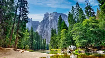 USA - California Dreams
