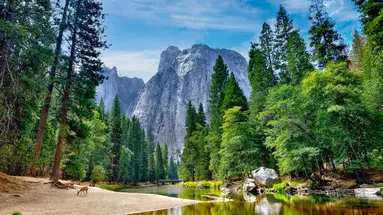 USA - California Dreams