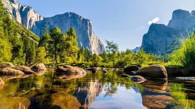 USA - California Dreams