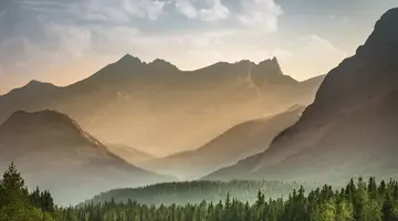 USA - Złoto dla zuchwałych