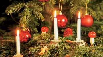 Ustronie Morskie - Ośrodek Alka Sun Resort