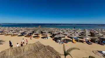 Utopia Beach Club