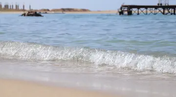 UTOPIA BEACH CLUB