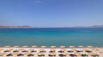 Utopia Blu