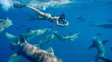 VAALI ISLAND ESCAPES & DIVE, FELIDHOO