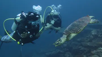 VAALI ISLAND ESCAPES & DIVE, FELIDHOO