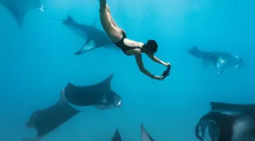 VAALI ISLAND ESCAPES & DIVE, FELIDHOO