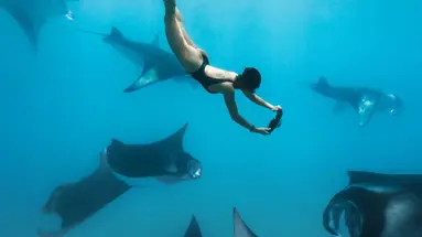 VAALI ISLAND ESCAPES & DIVE, FELIDHOO