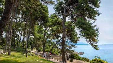 Valamar Carolina Hotel & Villas