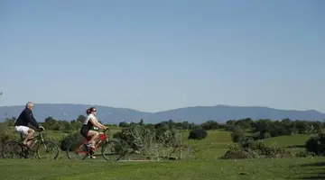 Vale D Oliveiras Quinta Resort and Spa
