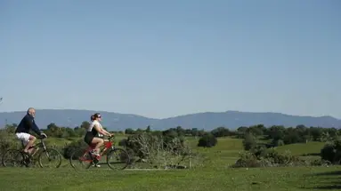 Vale D Oliveiras Quinta Resort and Spa