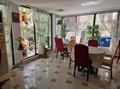 Vanini