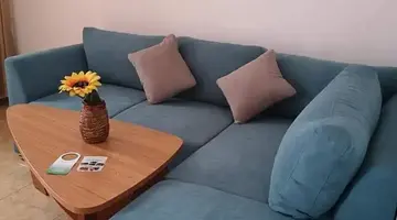 Vanini