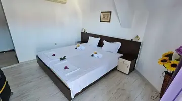 Vanini