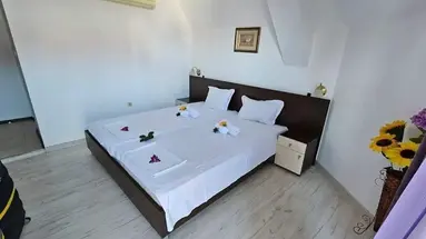 Vanini