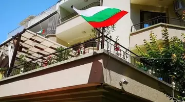 Vanini