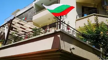 Vanini