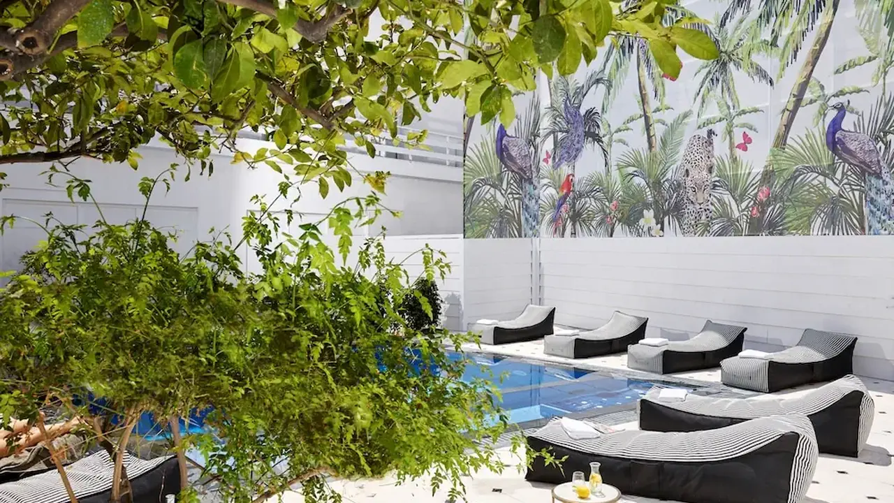 Vasia Boulevard - Adults Only