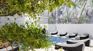 Vasia Boulevard - Adults Only
