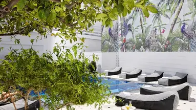 Vasia Boulevard - Adults Only