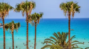 Vassos Nissi Plage Hotel & Spa
