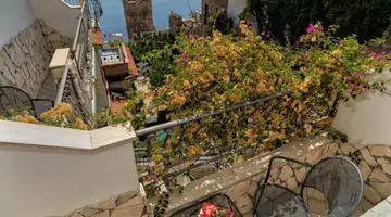 VELLO D ORO